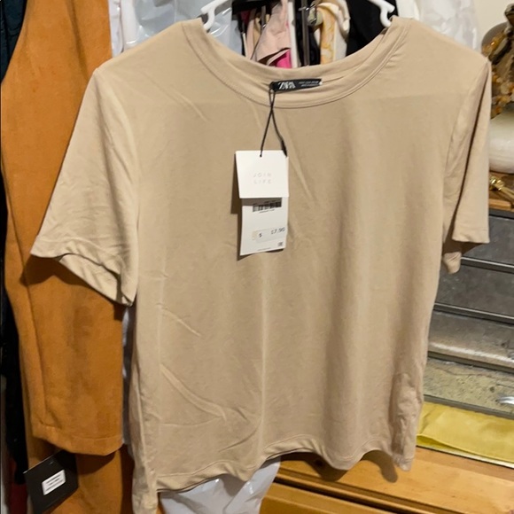 Zara | Tops | Zara Nude Crop T Shirt | Poshmark